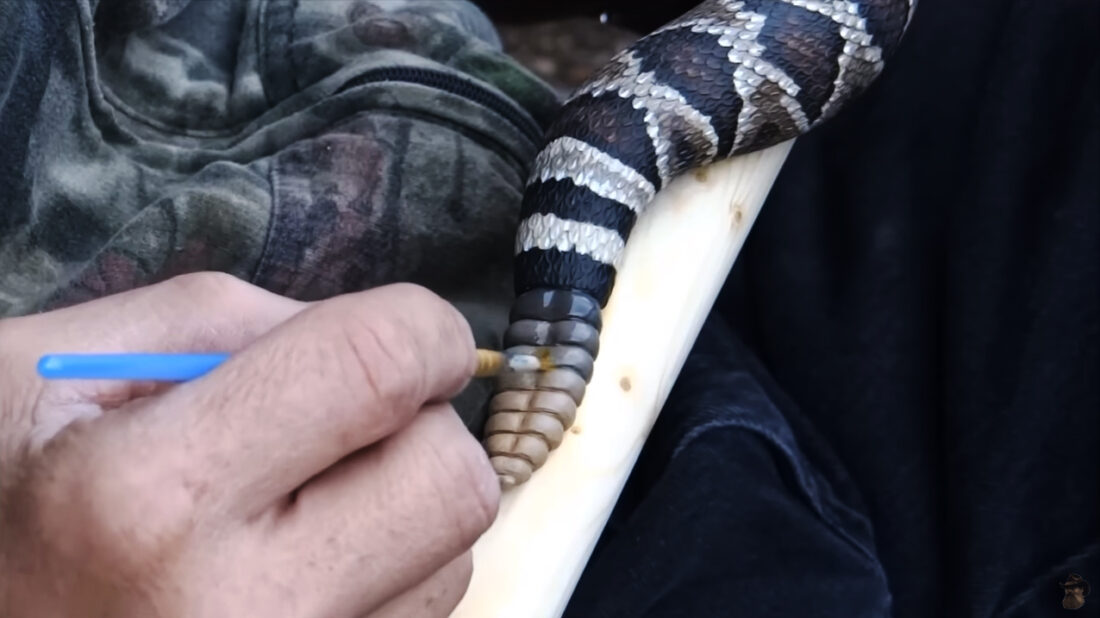 stinnett-hand-carved-walking-stick-19