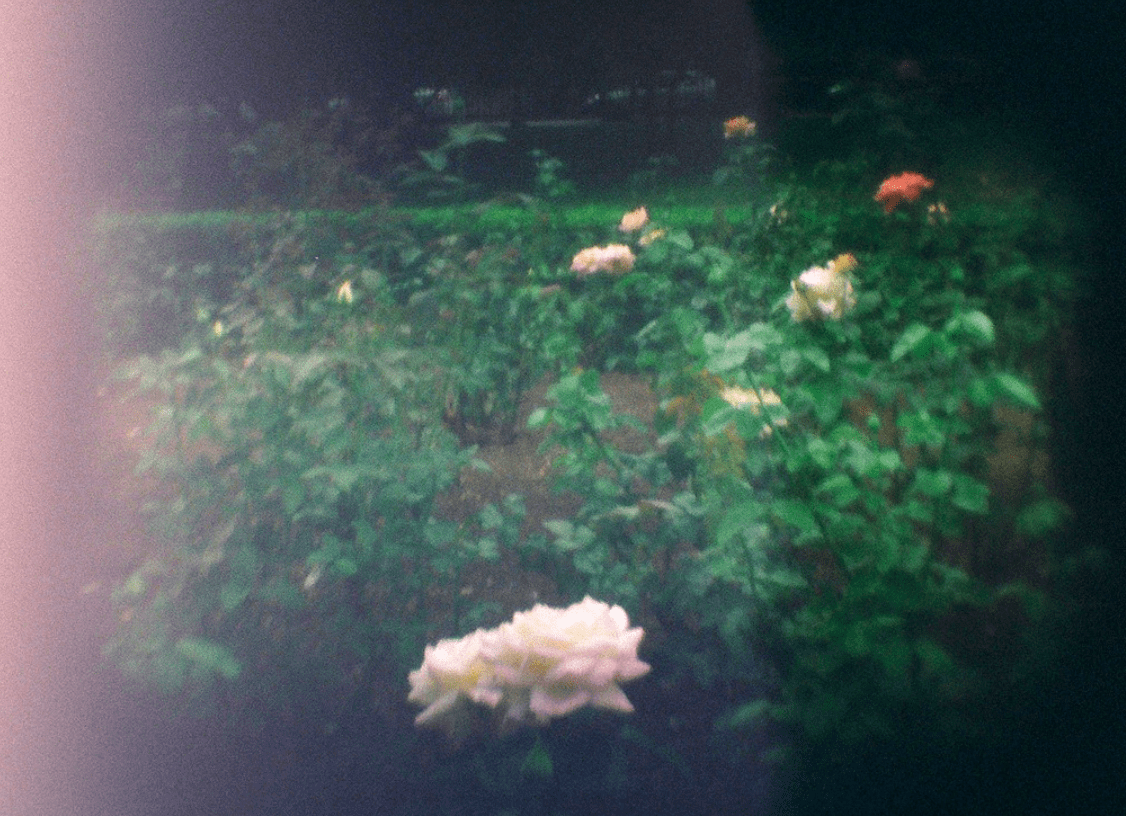 Screen Shot 2016-10-19 at 7.57.07 AM