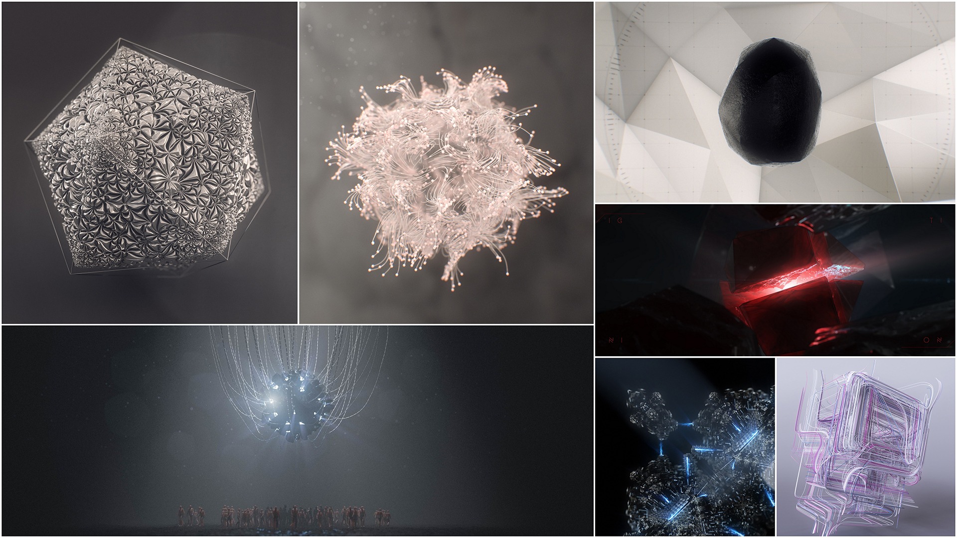 Friday Smackdown: Willow Root Rapscallions