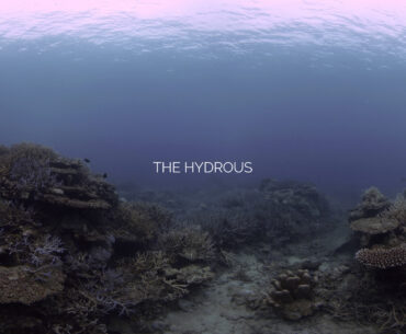 How Hydrous Uses Reality Capture and 3D Printing to Bring The Ocean to All