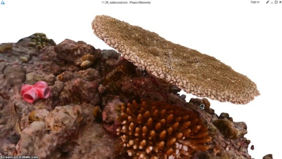 3. 3D mesh optimized