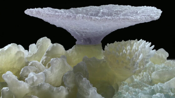 4. Reef section 3d printed