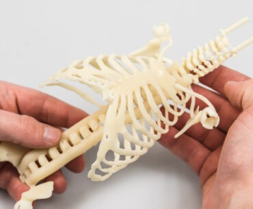3D Printed Baby Model with Functional Organs May Help Doctors Save Infant Lives