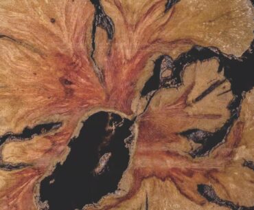 This Mesmerizing Short Film Follows Raw Wood Through a Milling Machine
