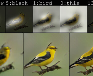 This New AI Platform Can Sketch Images Based on Words Alone