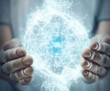 Polyport 3d asset protection and management