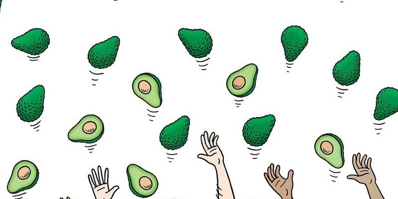 How the Avocado Became the Fruit of Global Trade