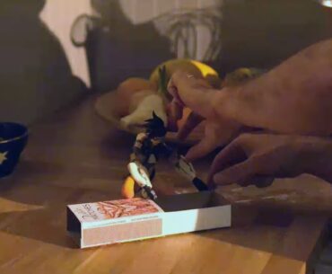 Trace & Bake Stop-Motion Video