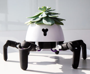This Modified HEXA Robot Takes Care of The Plant On Its Back