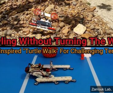 BGU’s RSTAR Sprawling Robot Can Change Shape to Overcome Obstacles