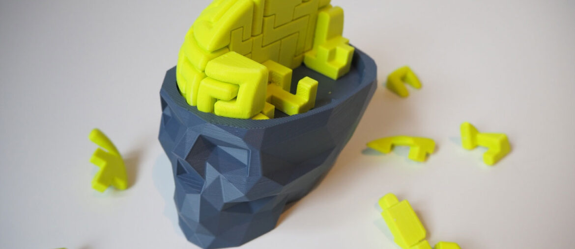 3D printed skull brain puzzle