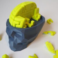 3D printed skull brain puzzle