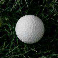 Golf Ball in Grass