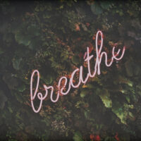 SolidSmack-Monday-List