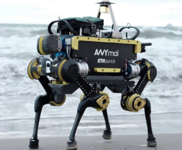 Robotics Dog