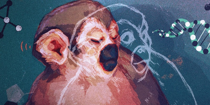 Monkeys With Superpower Eyes Could Help Cure Color Blindness