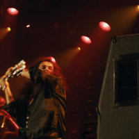 3d printed guitar smash