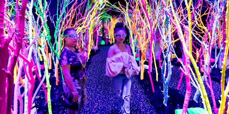 Can an Art Collective Become the Disney of the Experience Economy?