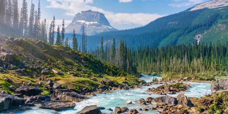 The National Park Service is Your New HMO