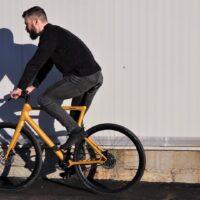 Platzhirsch ebike