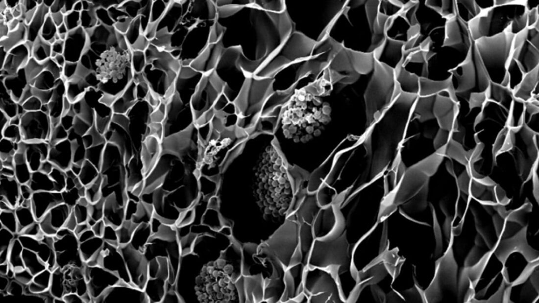 bionic 3d printed coral