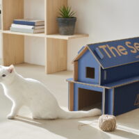 samsung eco-packaging