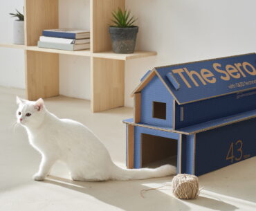 samsung eco-packaging