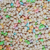 teachable-machine-sorter-corral-google-00