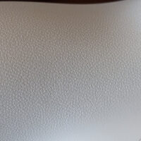 dualsesnse easter egg