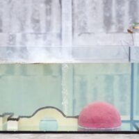 waterproof matchstick chain reaction