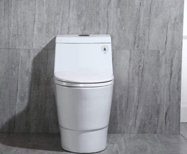 5 Best Toilets for Your Home