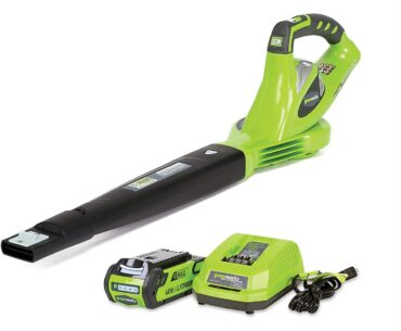 5 Best Leaf Blowers for Your Home
