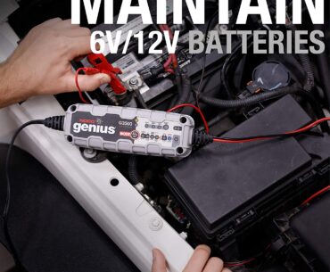 5 Best Car Battery Chargers Review