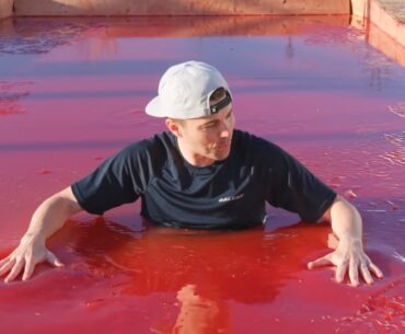 Mark Rober Fills A Pool Full of Actual Gelatin jell-o pool