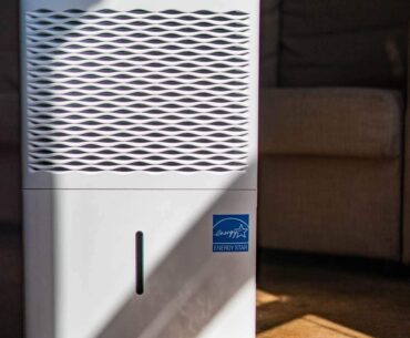 Top 5 Best Dehumidifiers for Basement