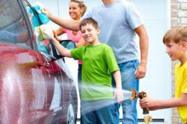 5 Best Flexible Garden Hoses Review and Buyer’s Guide