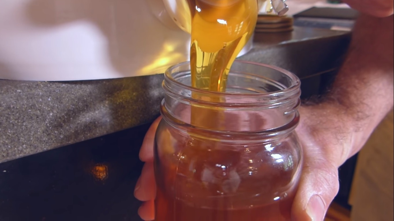 Watch How Honey and Wax are Extracted From SolidSmack