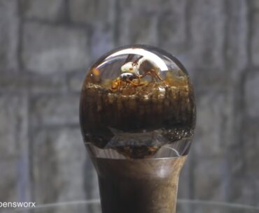 wasp nest resin gear shift knob