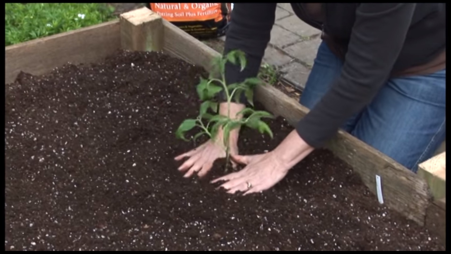 Best Raised Bed Soil for Gardening This 2021