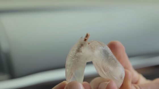 car window experiments