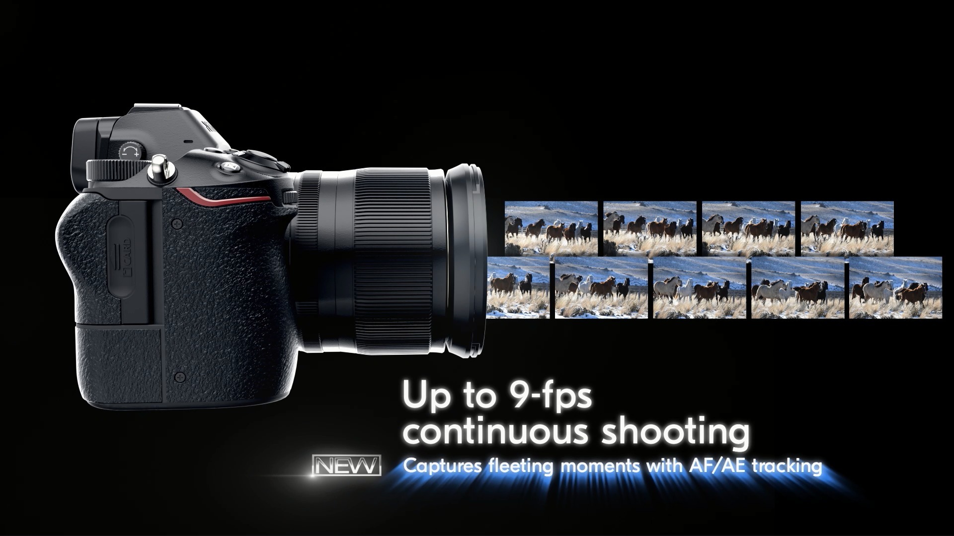 Best FullFrame DSLR and Mirrorless Cameras in 2021 (Review & Buyer's