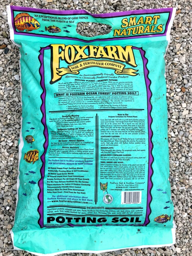 Best Raised Bed Soil for Gardening This 2021