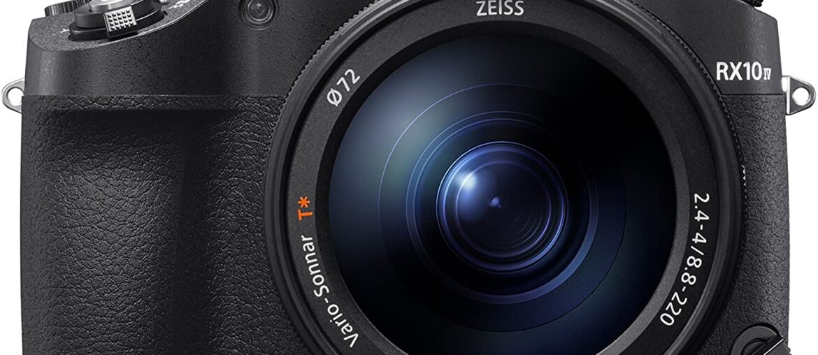 Best Bridge Cameras for Portraits and Wildlife Photography