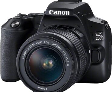 Best Budget DSLR This 2021 – Review and Buyer’s Guide
