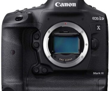 Best Canon DSLR Cameras for Beginners, Enthusiasts, and Pros – 2021 Review