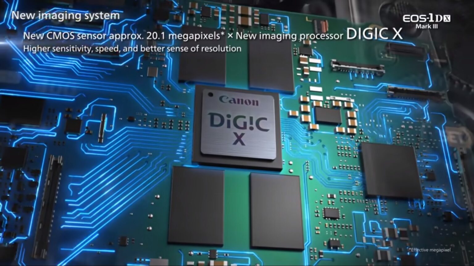 Best Canon DSLR Cameras for Beginners, Enthusiasts, and Pros 2021 Review