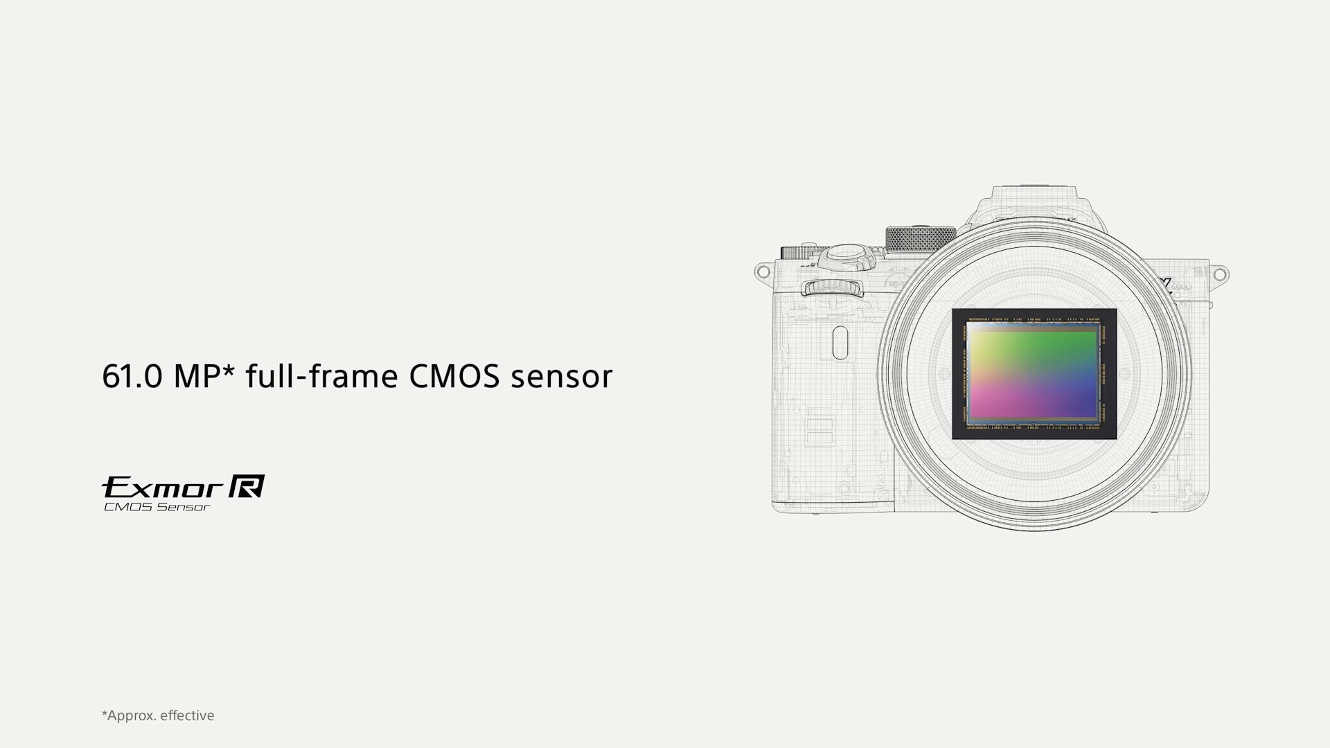 Best Cameras for Portraits 2021 Buyer's Guide & Review