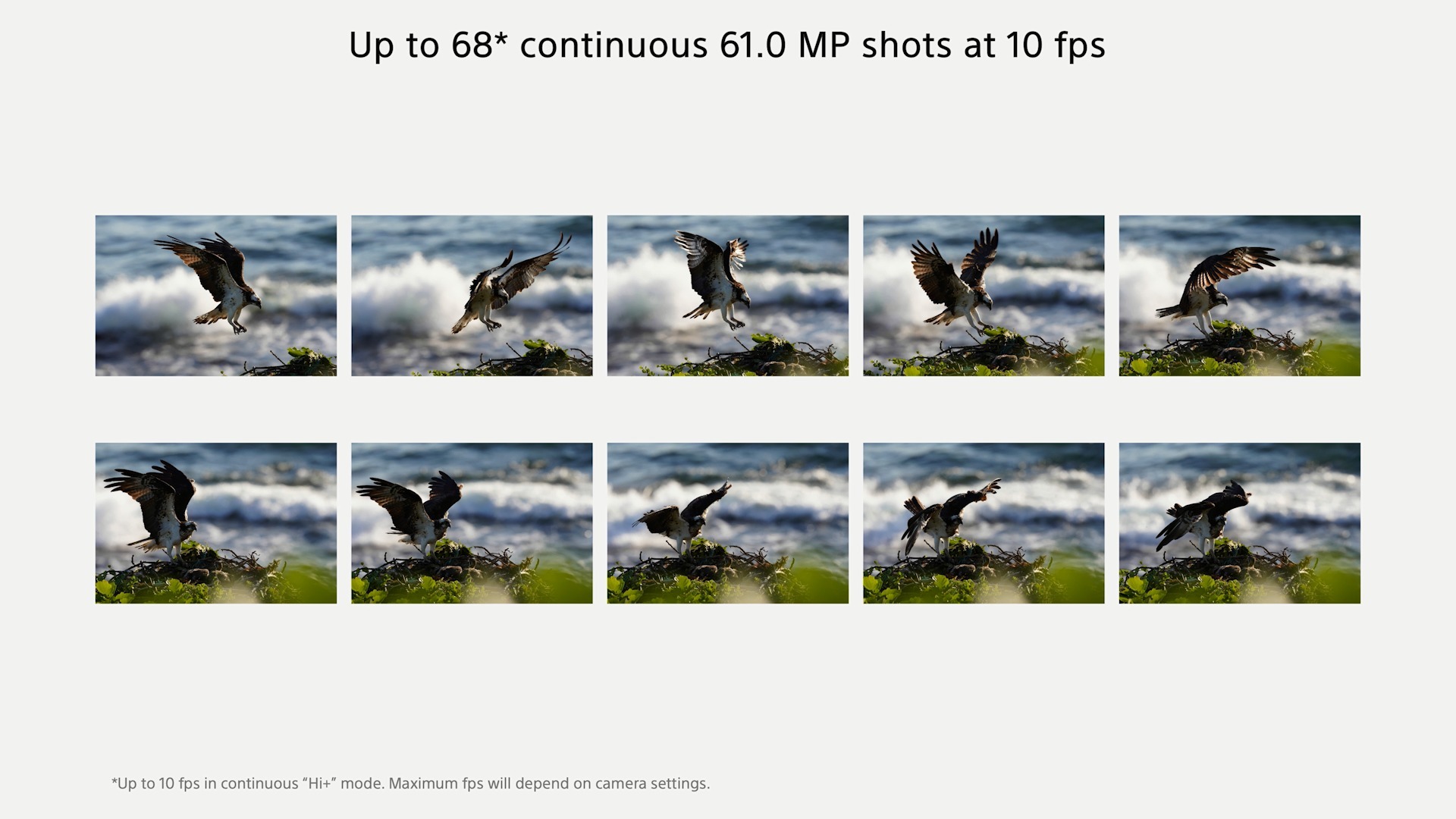 Best Cameras for Portraits 2021 Buyer's Guide & Review