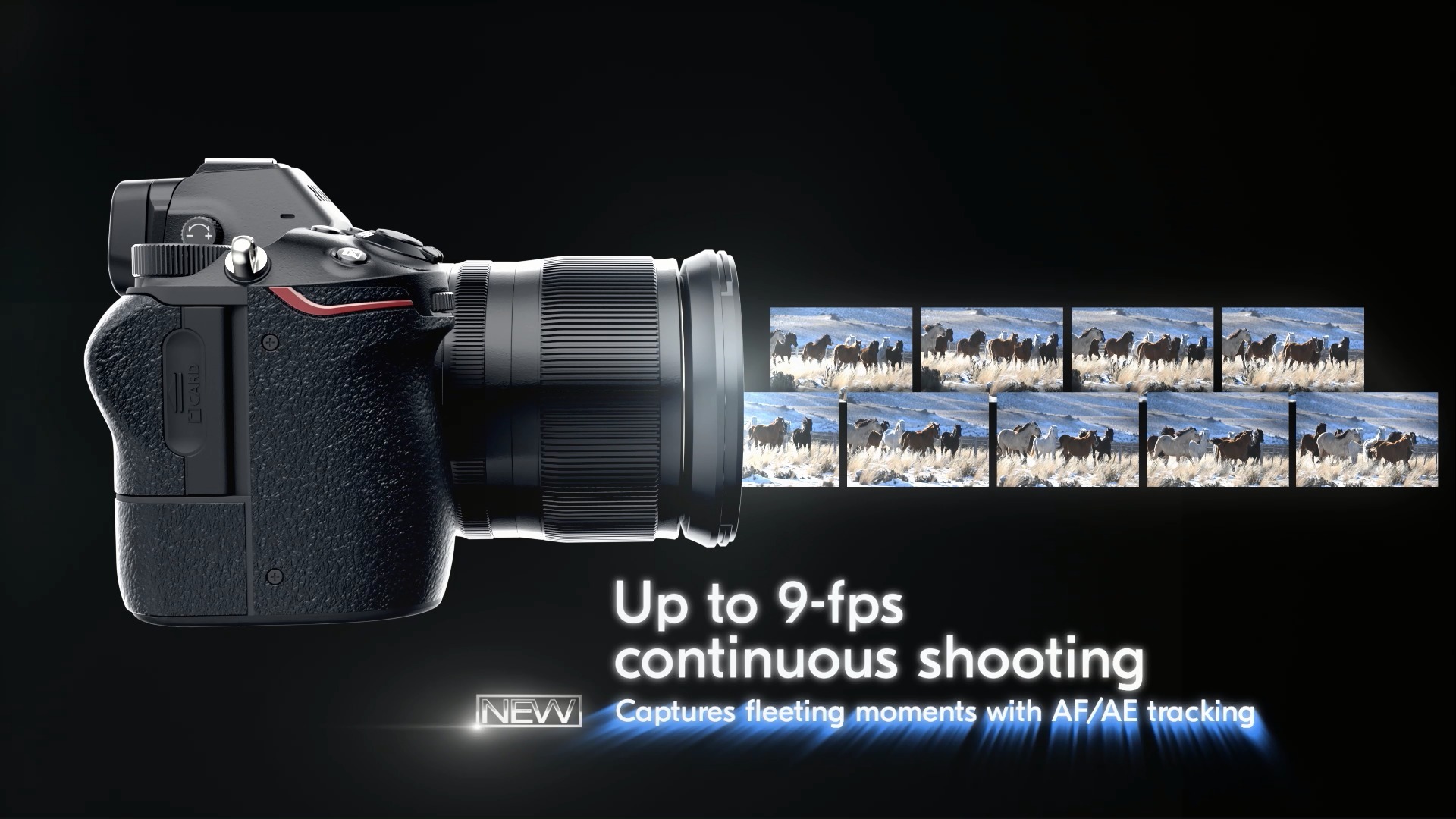 Best Cameras for Portraits 2021 Buyer's Guide & Review