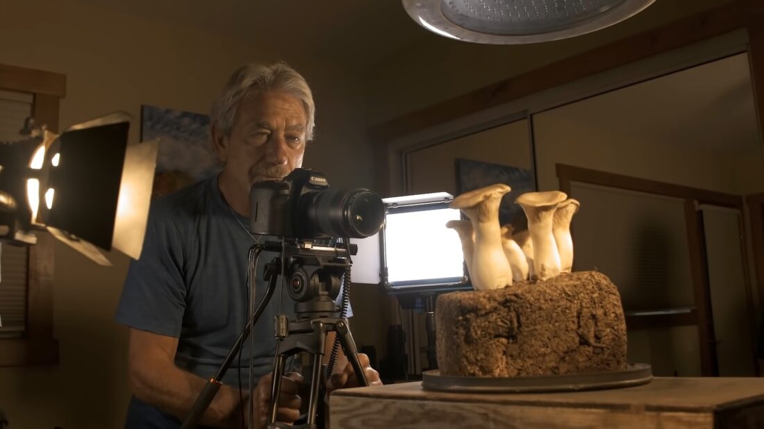 fungi time-lapse capture